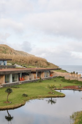FRANCISCO NOGUEIRA
