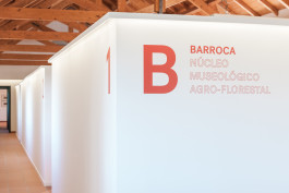 FRANCISCO NOGUEIRA