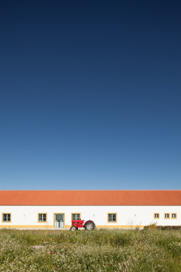 FRANCISCO NOGUEIRA