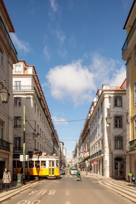 FRANCISCO NOGUEIRA
