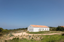 FRANCISCO NOGUEIRA