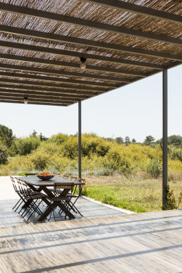 FRANCISCO NOGUEIRA