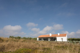 FRANCISCO NOGUEIRA