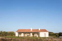 FRANCISCO NOGUEIRA