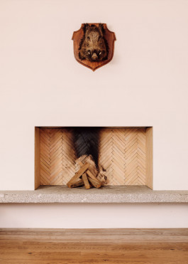 FRANCISCO NOGUEIRA