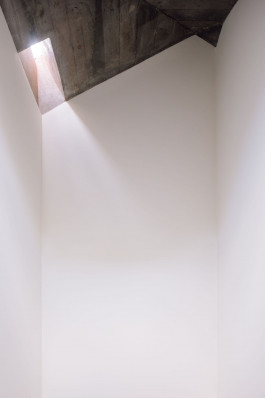 FRANCISCO NOGUEIRA