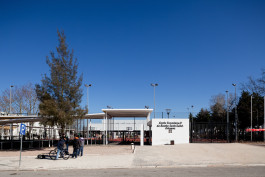 FRANCISCO NOGUEIRA
