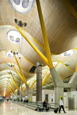 FRANCISCO NOGUEIRA