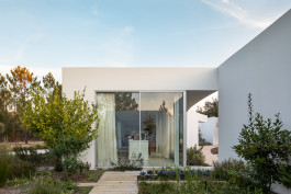 FRANCISCO NOGUEIRA