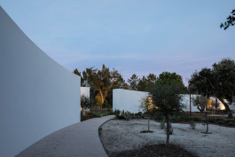 FRANCISCO NOGUEIRA