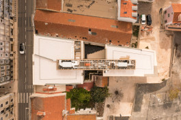 FRANCISCO NOGUEIRA