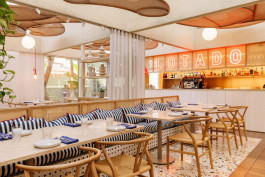 FRANCISCO NOGUEIRA