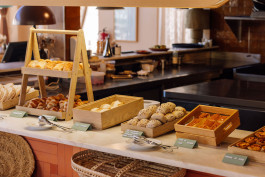 FRANCISCO NOGUEIRA