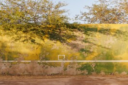 FRANCISCO NOGUEIRA