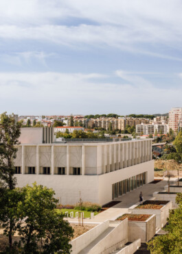 FRANCISCO NOGUEIRA